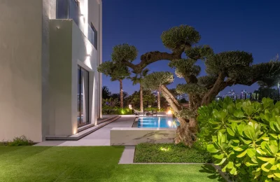 Moonlighting – The Secret to Natural Looking Garden Illumination